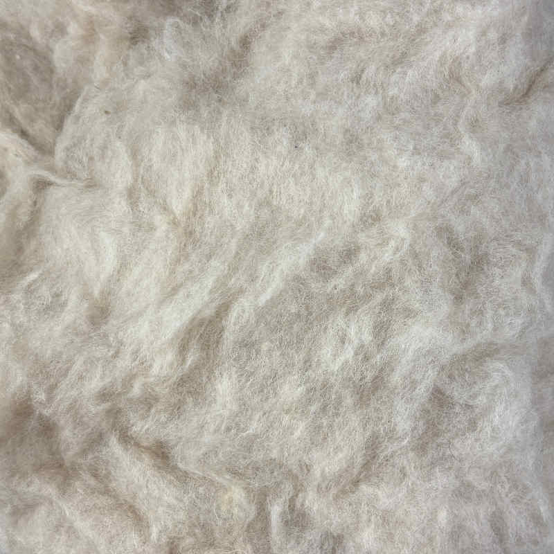 karteflor af bergschaf uld sand