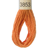 DMC moulinégarn - farvekort 6
