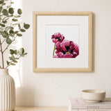 Rosa farvede valmuer - OOE broderikit